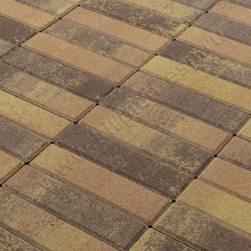 Прямоугольник Color Mix "Прайд" 200*50*60 мм - тротуарная плитка BRAER (БРАЕР)