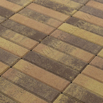 Прямоугольник Color Mix "Прайд" 200*50*60 мм - тротуарная плитка BRAER (БРАЕР)