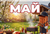Акция «Товар месяца» на керамическую продукцию BRAER май 2026