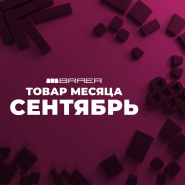 Акция «Товар месяца» на тротуарную плитку Браер