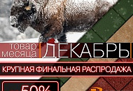 Финальная распродажа тротуарной плитки Braer