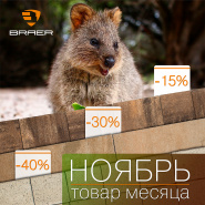 Акция месяца "Ноябрь" на плитку Braer