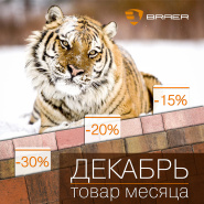 Акция месяца "Декабрь" на плитку Braer